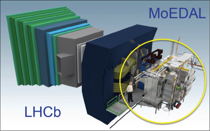 The MoEDAL Detector